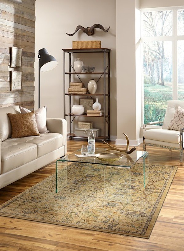 Area Rugs - Eclectic - Living Room - Indianapolis - by ...