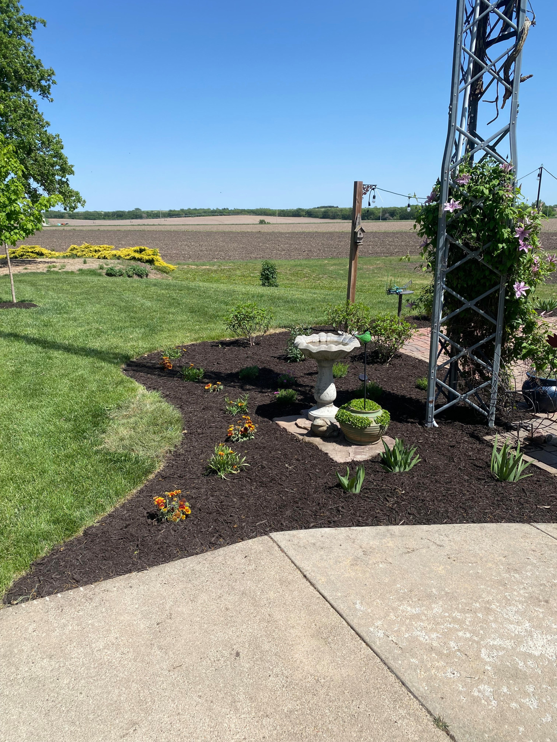 Butterfly Garden