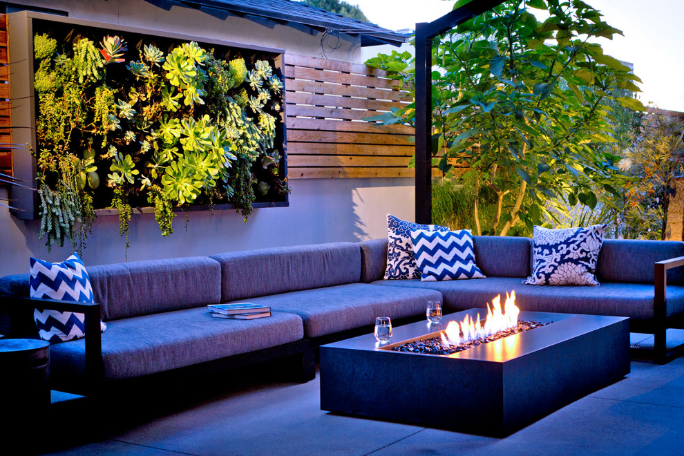 Design ideas for a small contemporary backyard xeriscape in Los Angeles with a vertical garden.
