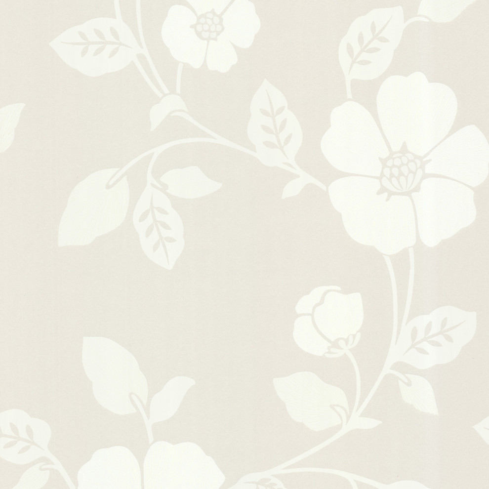 Zync Cream Modern Floral Wallpaper,, Sample - Contemporary - Wallpaper - by Brewster Home