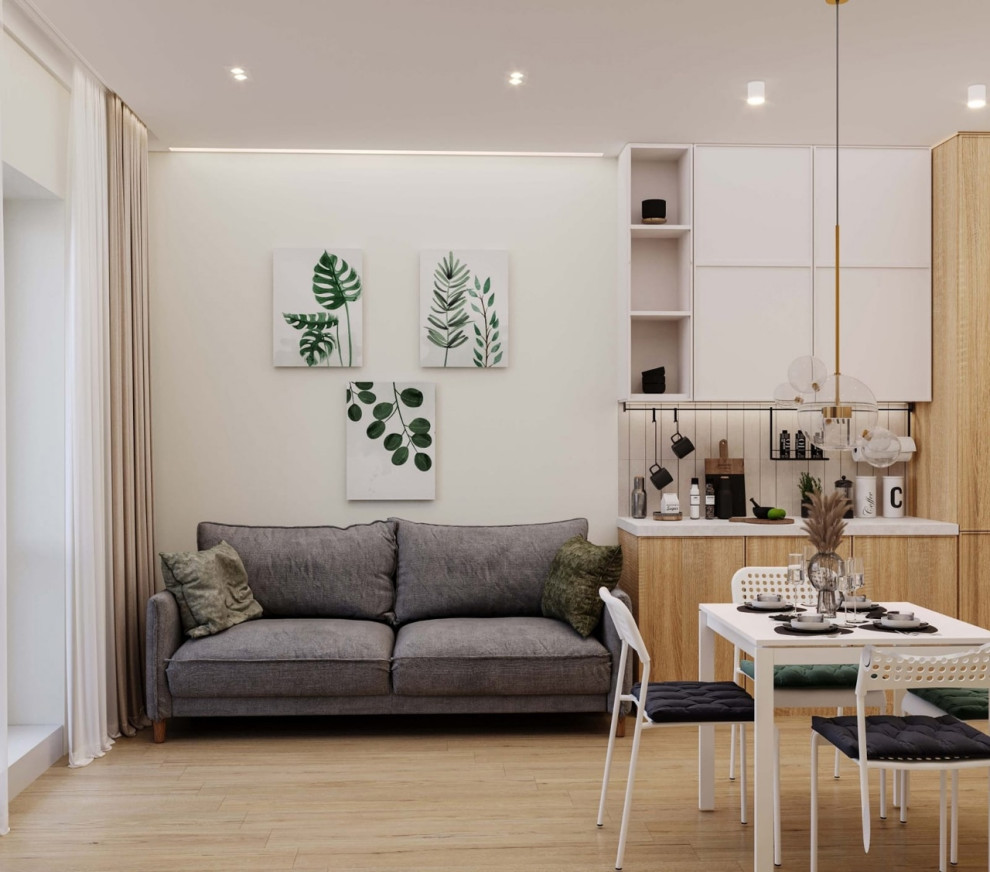 Сканди в Петрозаводске