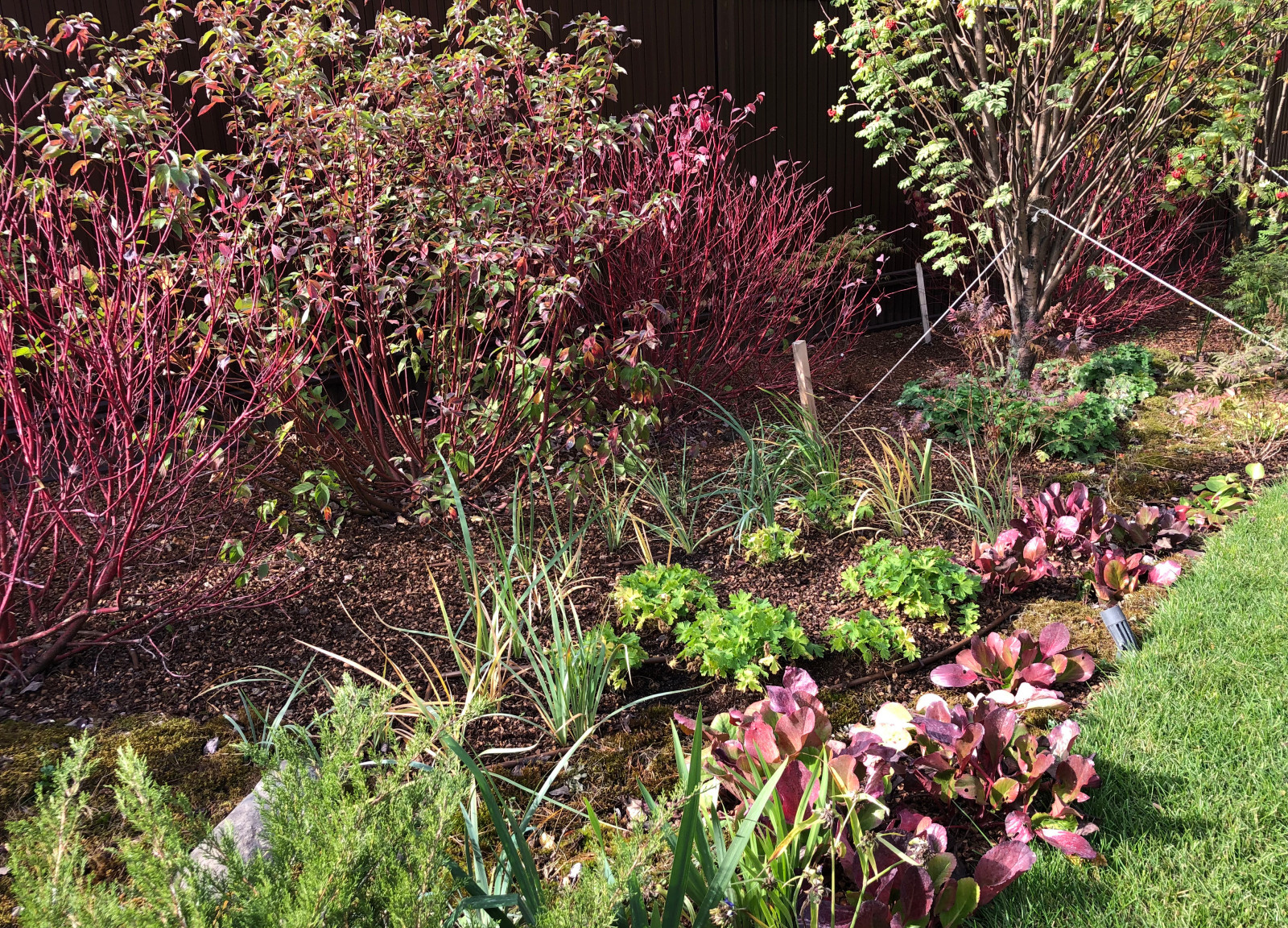 Усадьба на краю леса