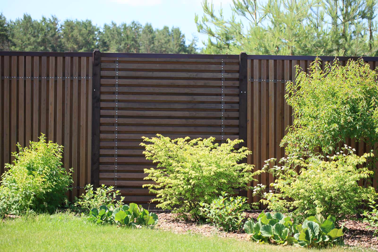 Сад с румянцем