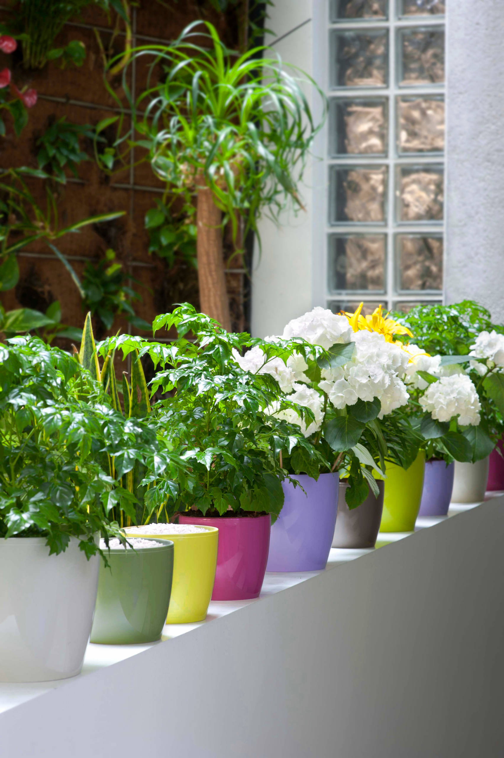 Try This Shortcut to Garden Color Where You Need It
