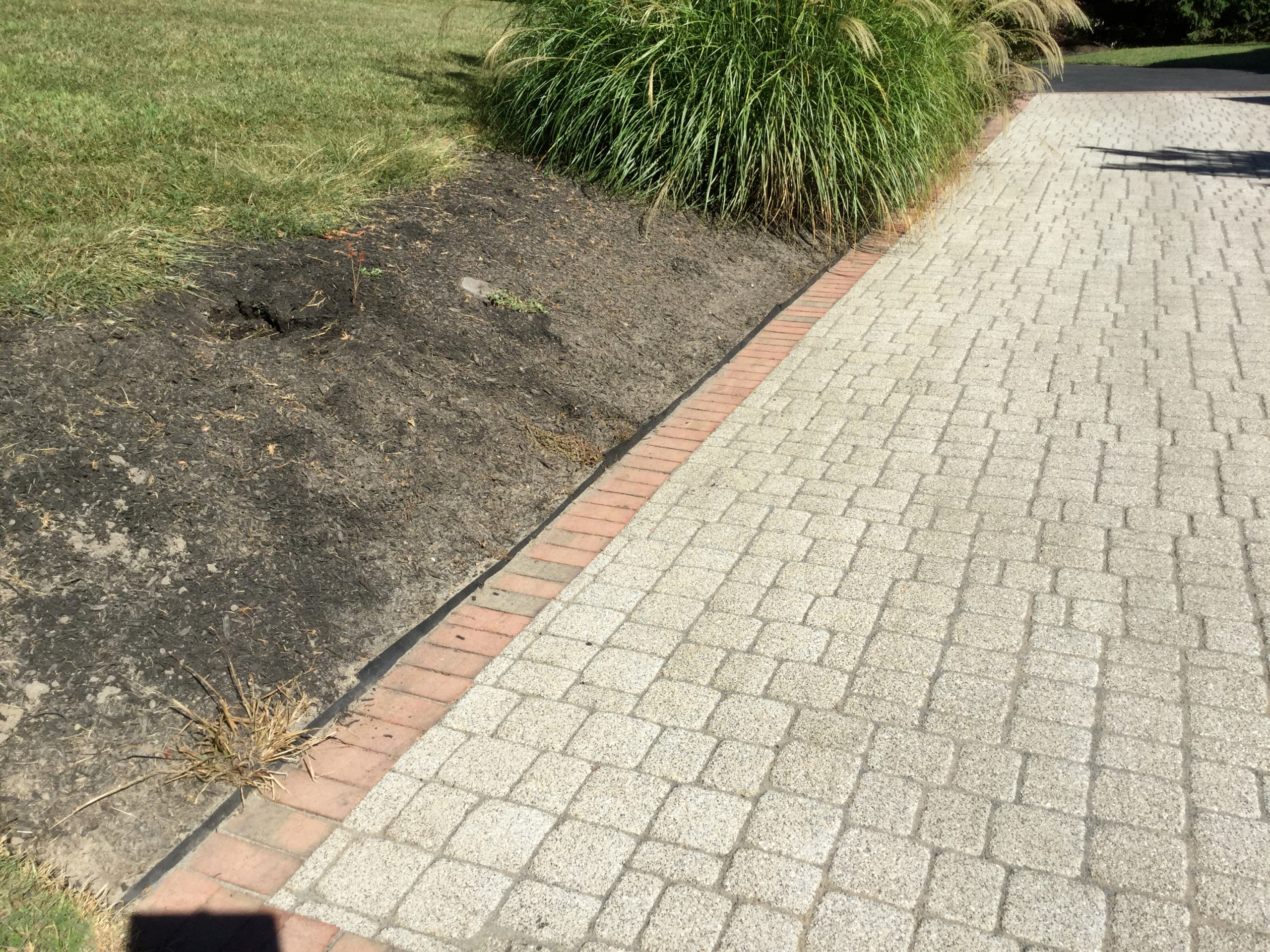 Paver Maintenance- After- Polymeric sand