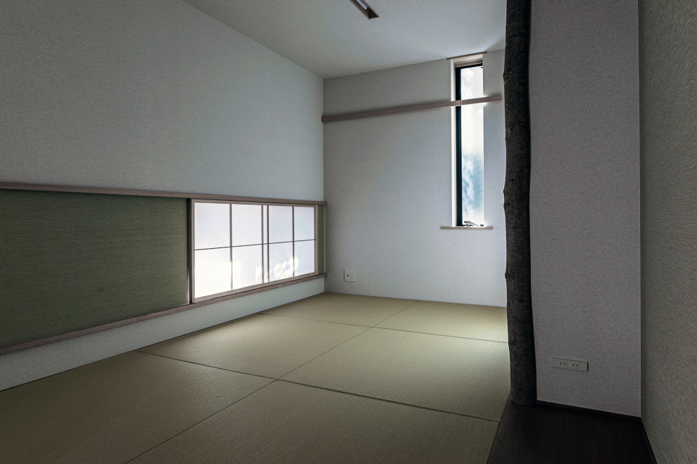 Foto di un soggiorno etnico con pavimento in tatami, pavimento verde, soffitto in carta da parati e carta da parati