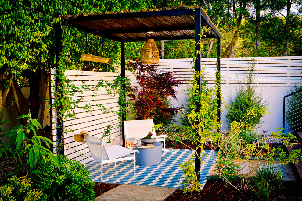 Ispirazione per un giardino xeriscape minimal di medie dimensioni e dietro casa con graniglia di granito