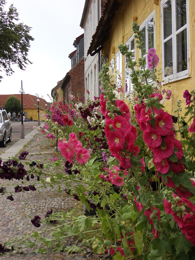 This is an example of a traditional garden in Copenhagen.