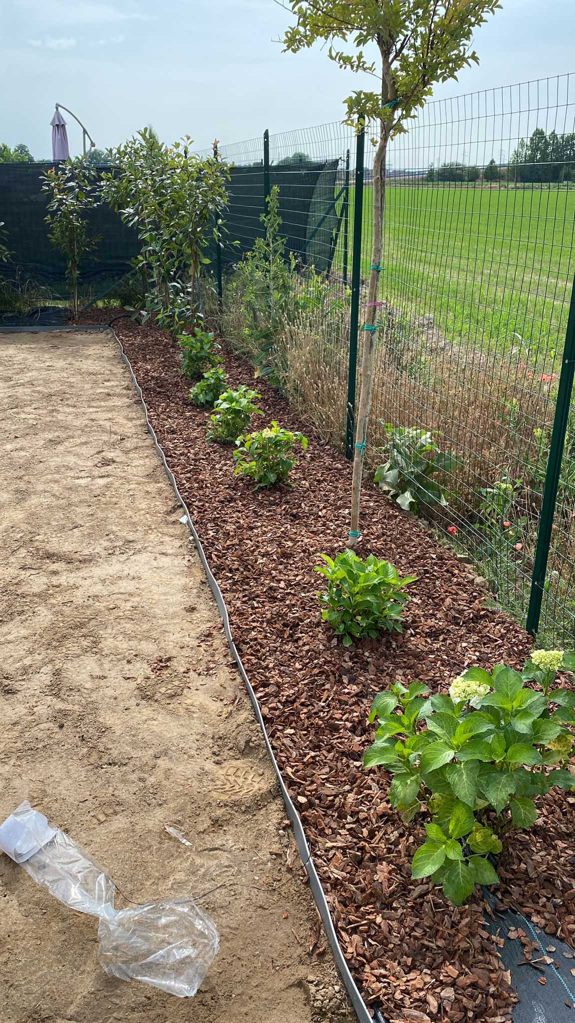 Realizzazione Giardino per villa moderna