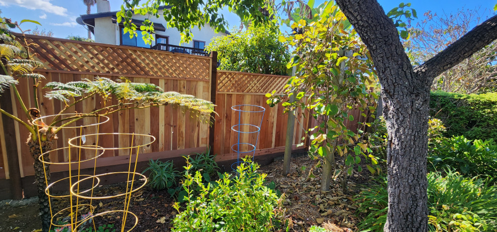 Lattice Fence