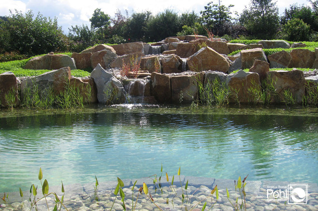 Schwimmteich contemporary-pool