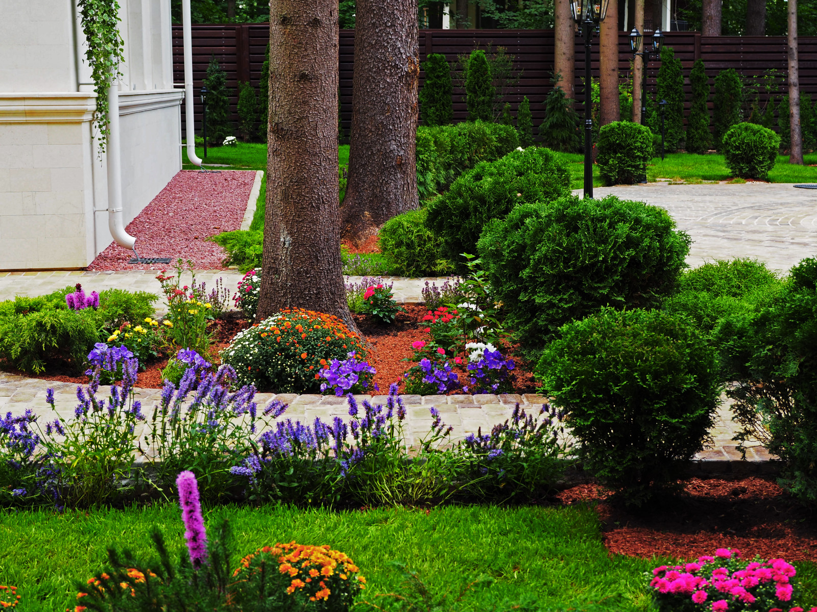 Проект Грибово