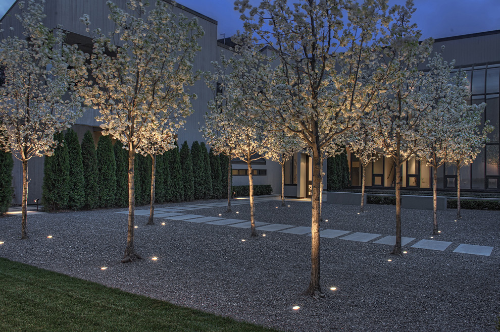 Design ideas for an expansive contemporary courtyard partial sun formal garden for spring in San Francisco with gravel.