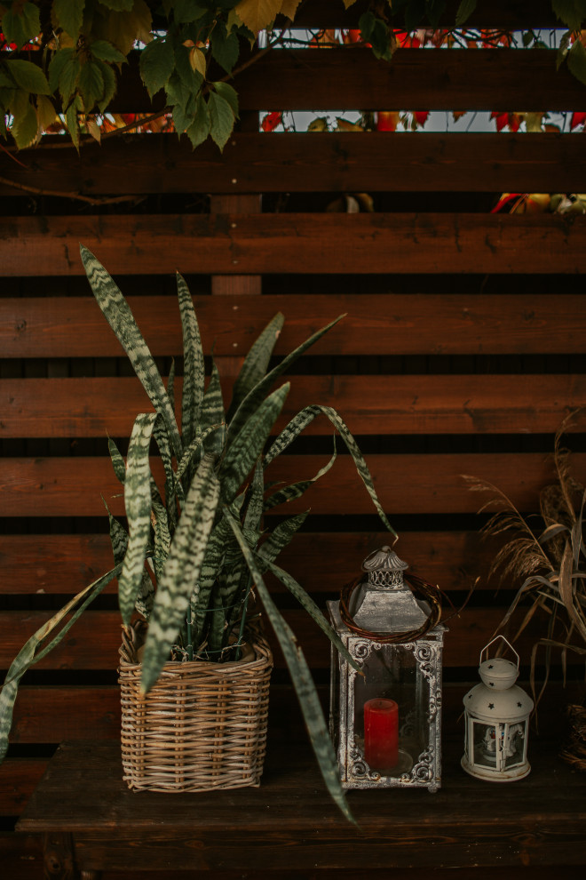 Осенний сад