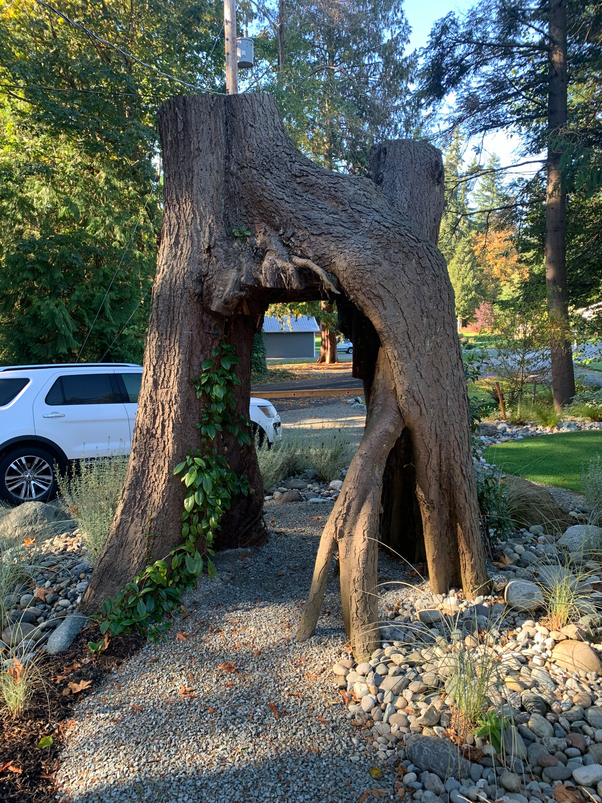 Williams Residence
