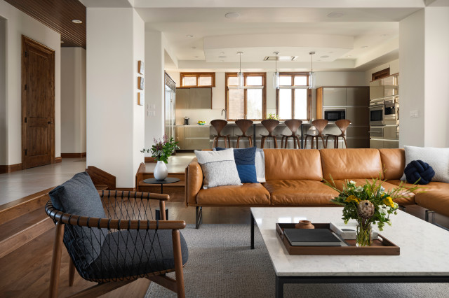 Entertainer's Oasis modern-living-room