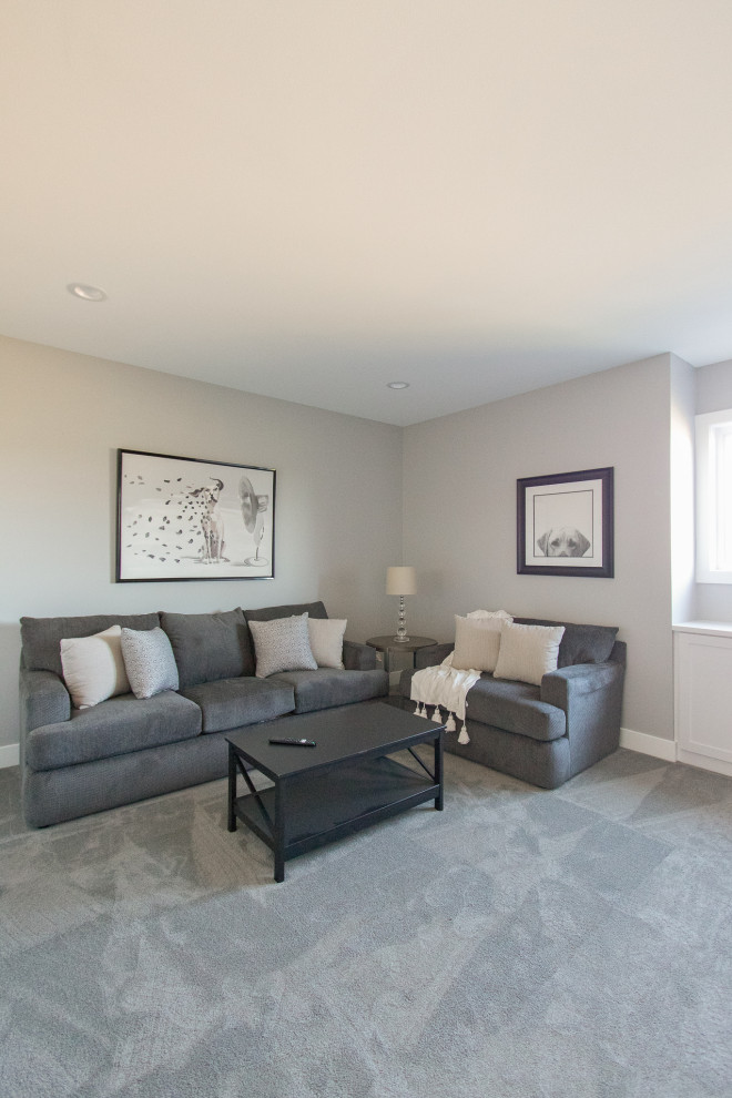 Transitional look-out carpeted and gray floor basement photo