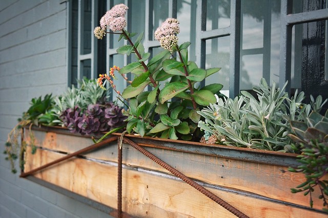 custom metal and pallet box, window box industrial-exterior