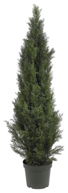 5' Mini Cedar Pine Tree, Indoor and Outdoor