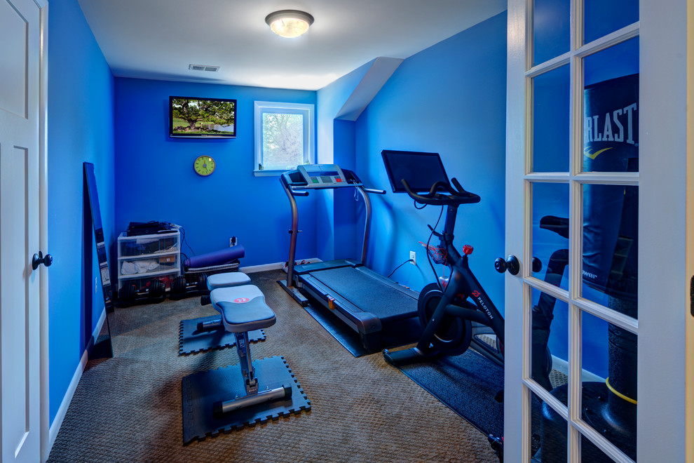 Small contemporary multipurpose gym in DC Metro with blue walls and carpet.