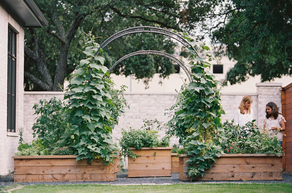 Свежая идея для дизайна: большой регулярный сад на заднем дворе в стиле модернизм с высокими грядками, полуденной тенью и покрытием из гравия - отличное фото интерьера