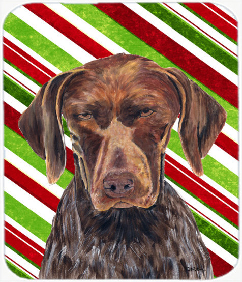 german shorthaired pointer store