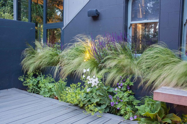 Entertaining garden in Blackheath contemporary-garden