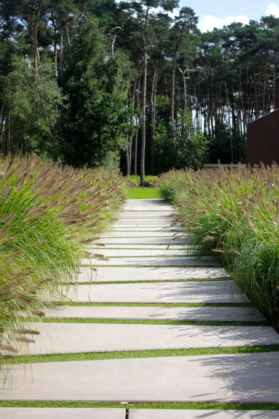 ДОРОЖНЫЕ ПОКРЫТИЯ В САДУ