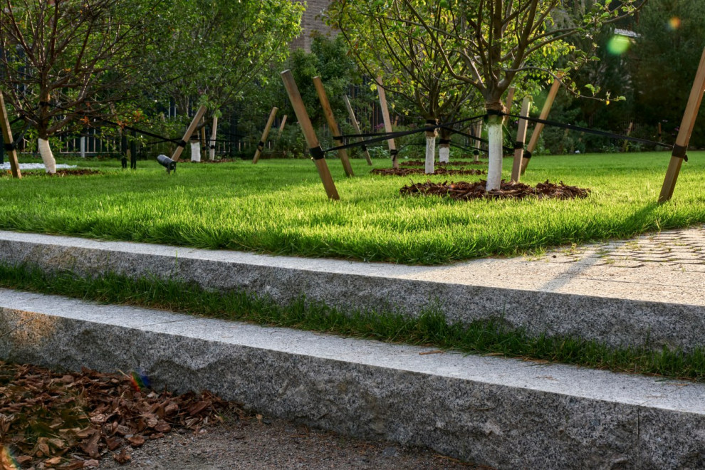 Репино парк