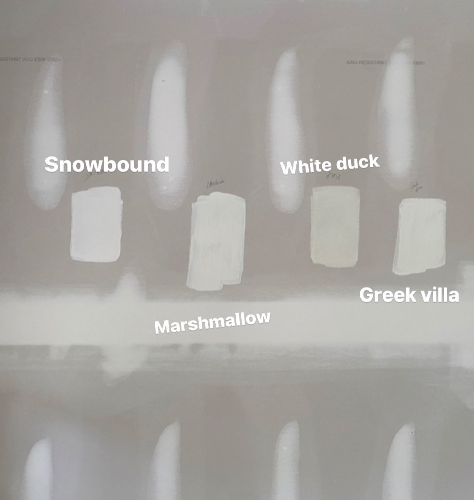 Greek Villa vs Snowbound Interior Paint