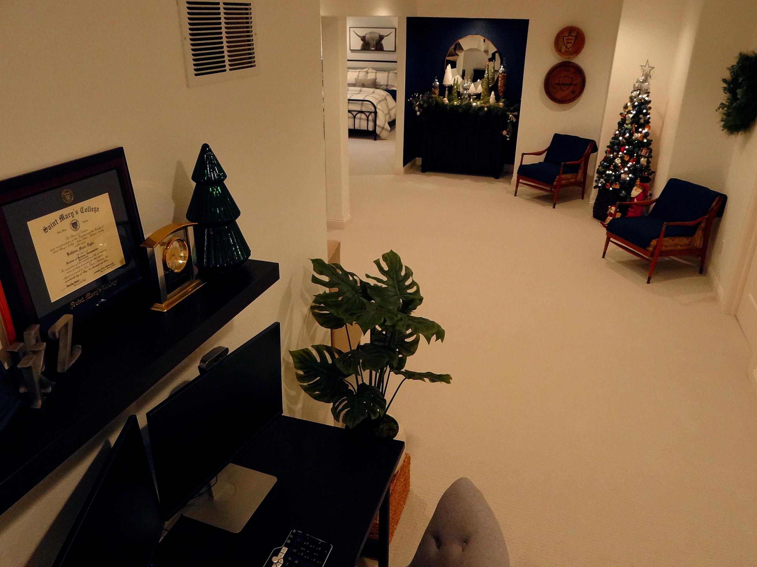 Lannon Residence - Finished Lower Level