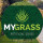 My Grass