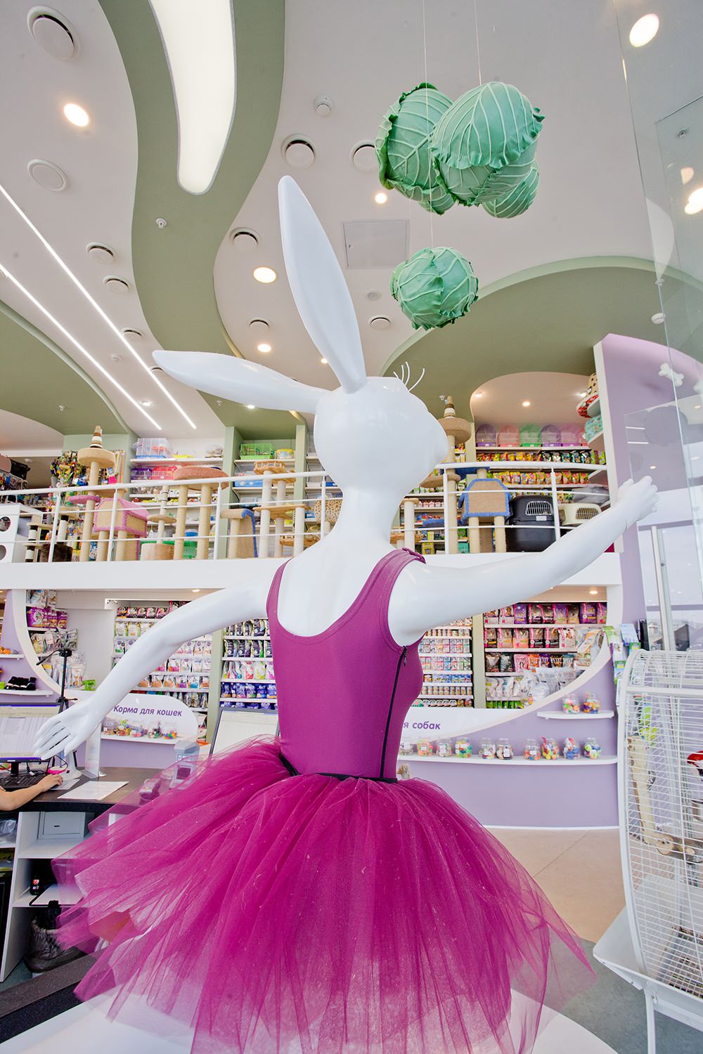 2018-07-05 12-03-53.JPG