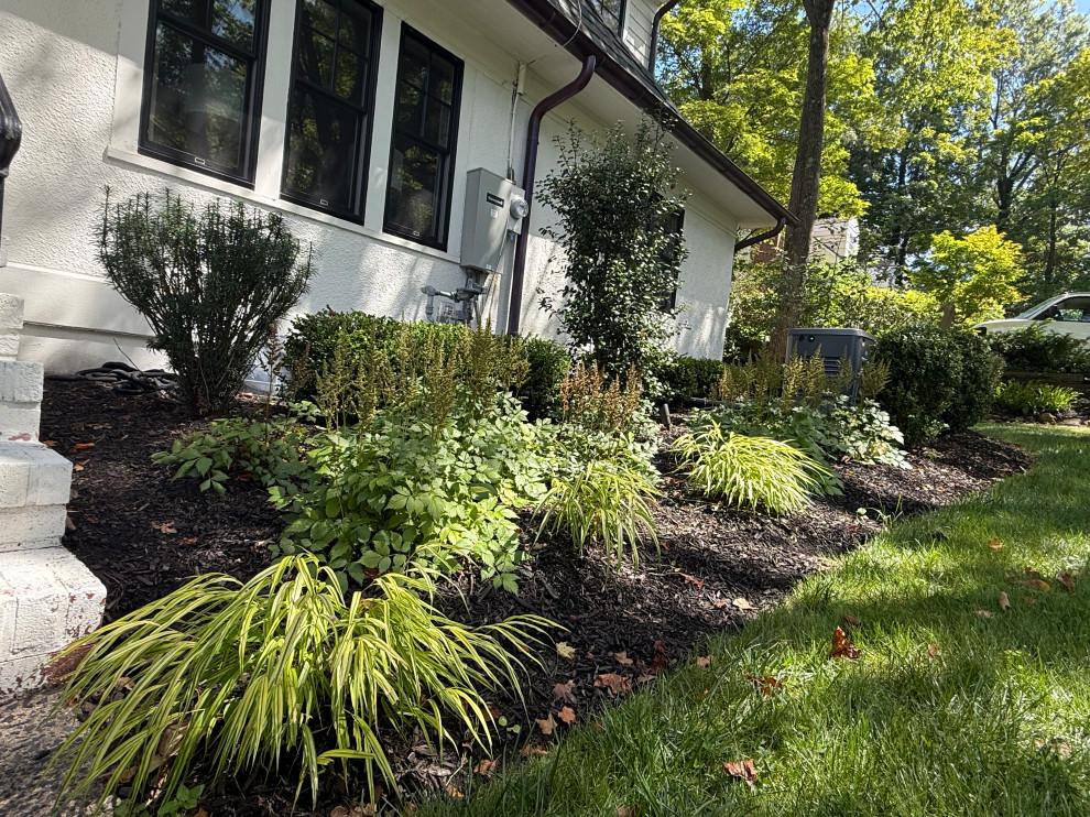 Planting Design