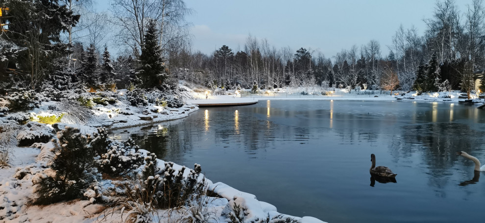 Лесное озеро