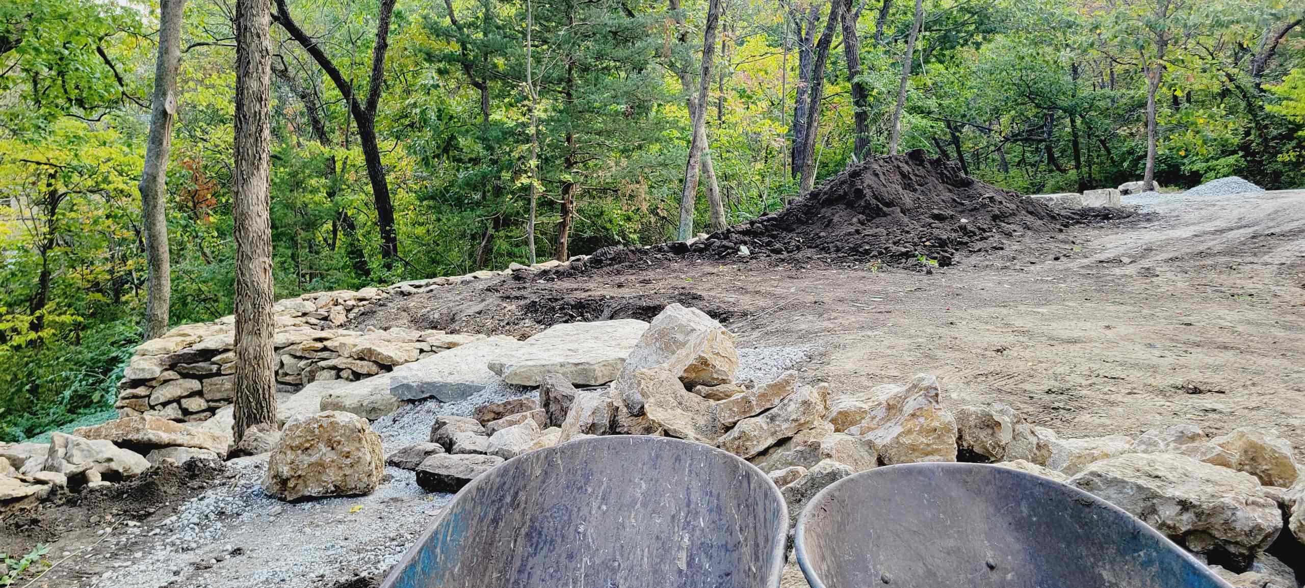 Woodland Restoration