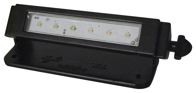 The Otter Pond Light Wall Wash Transitional Outdoor Fountain The Otter Pond Light Wall Wash 3000k Led