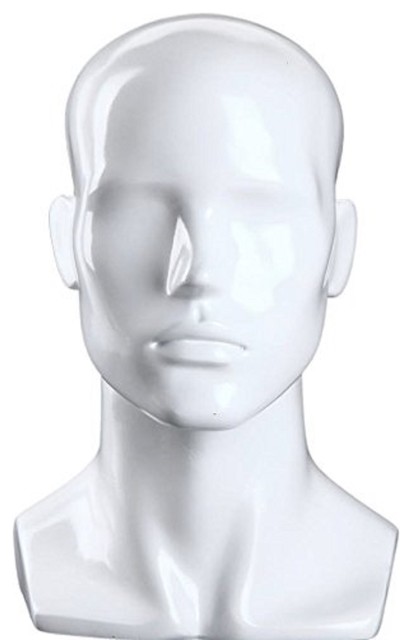 Male Gloss White Mannequin Head, Pack of 1 - Contemporary - Decorative ...