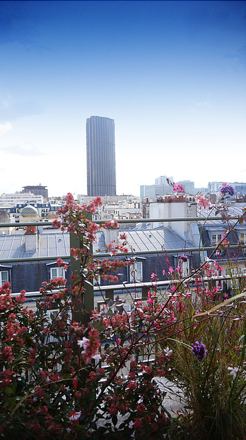 Juste en dessous du ciel contemporary-deck