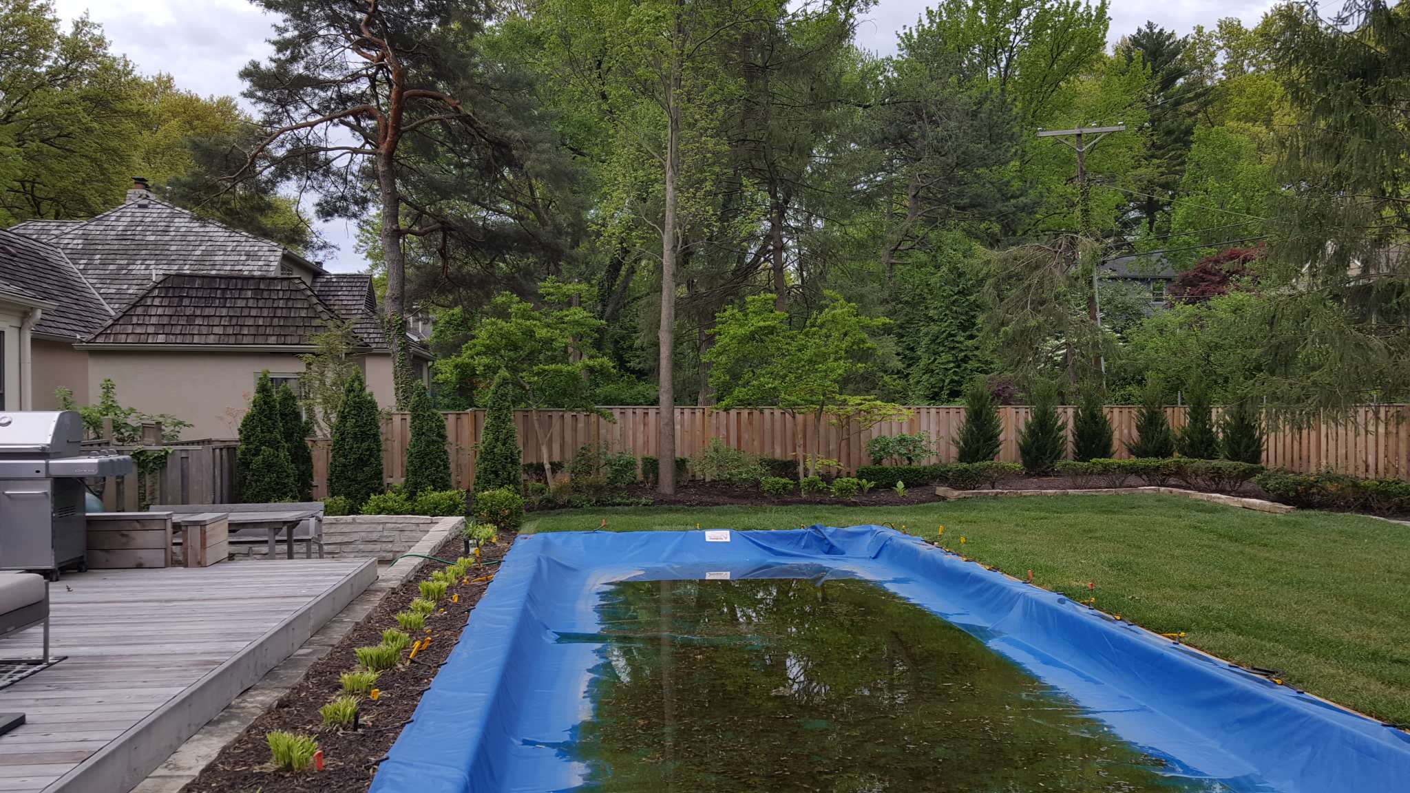 Fairway backyard AFTER