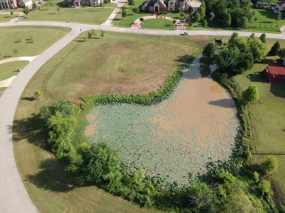 Ideas for managing this retention pond?