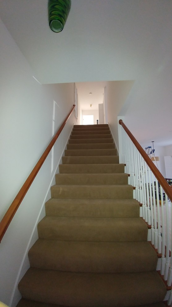 Photo of a medium sized vintage carpeted straight staircase in Minneapolis with carpeted risers.