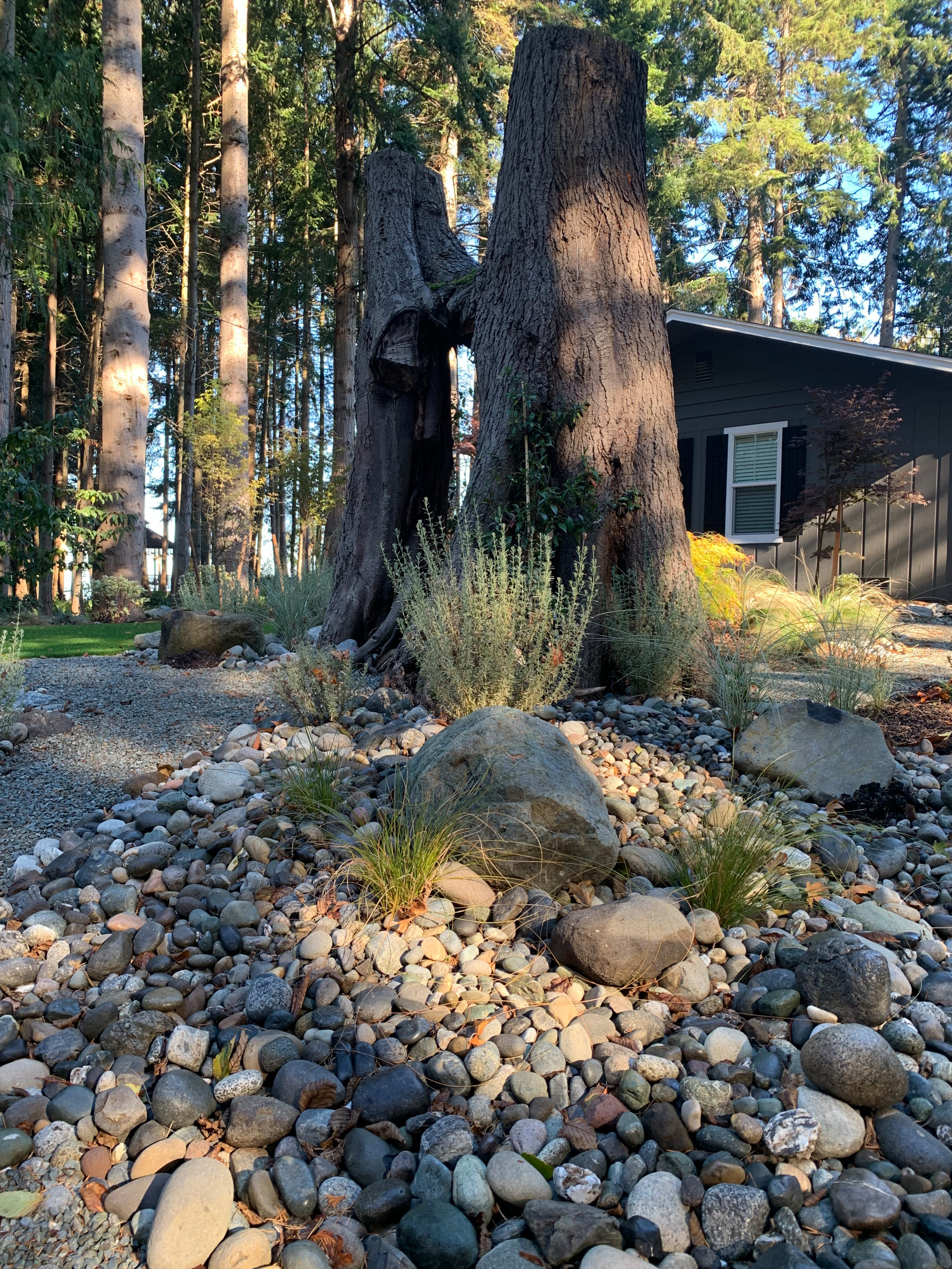 Williams Residence