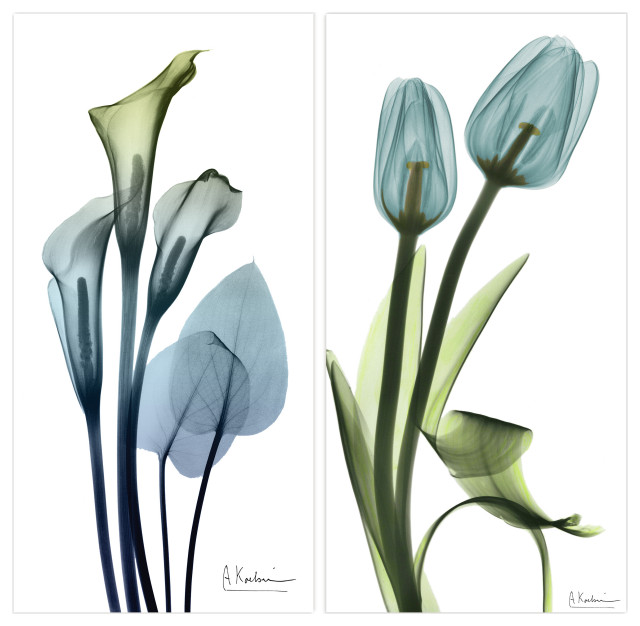 Lily and Blue Tulips Frameless Free Floating Tempered Glass Graphic