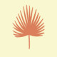 Palmetto Interiors & Renovations