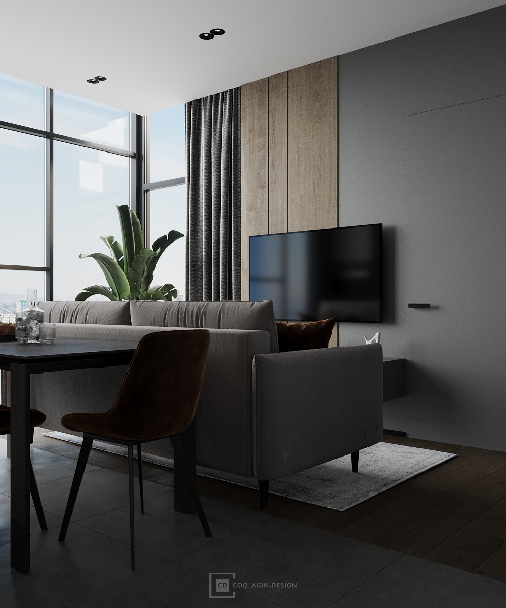 Кухня-гостиная