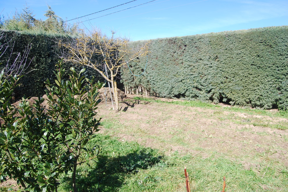 Nuevos aires en el campo palentino