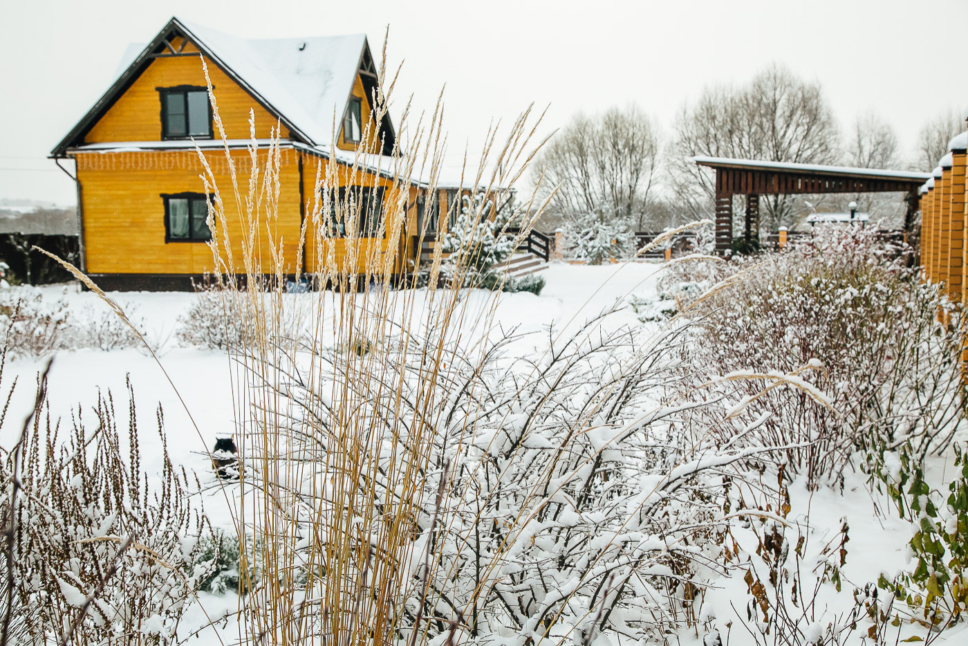 Зимний сад. Ощущение праздника!