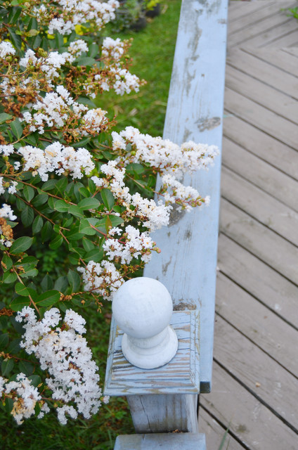 Fall Decor traditional-garden
