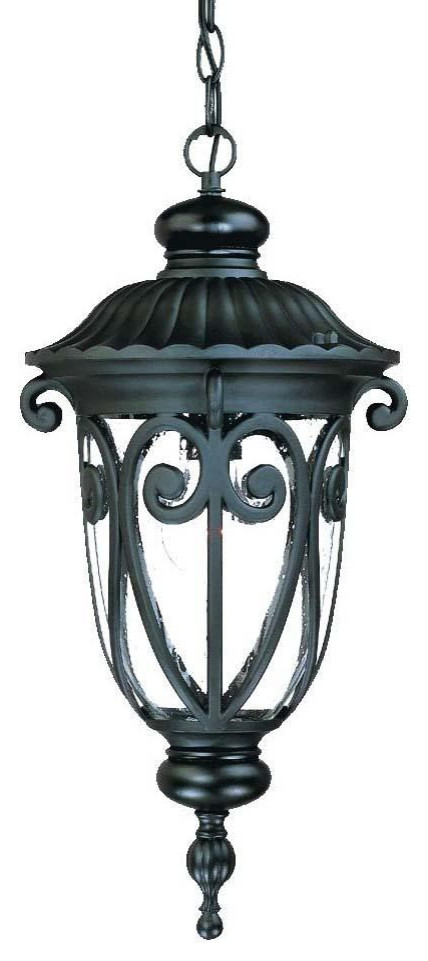 Acclaim Naples 1-Light Outdoor Hanging Lantern 2116BK, Matte Black